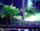 アナログダウンワールド