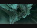 【MHP3】　ウカムルバス　ネコ火事場弓ソロ　0分針（4分22秒）