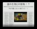 【実況】魔人と失われた王国とときどき変人【その２】