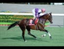 【ゆっくり】いまいち名馬列伝３【語り】