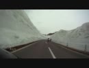 私を春の雪景色につれてって