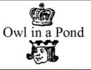 仮面ヒーロー（short ver.） - Owl in a Pond