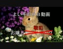 【最弱弾薬箱】お嬢様とりむぺったん156【バレリオＢ:ＳA戦】