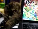 猫型パソコン