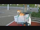 【車載実験動画】　宍道湖一周　【タンデムビュー】
