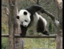 【ニコラップ】 day by day  【PK山下】