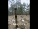 大菩薩嶺　登山
