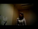 【歌ってみた】we will【ＥＸＩＬＥ】