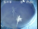 【歌ってみた】中島美嘉─雪の華【台湾】