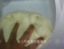 パナのホームベーカリーで生地作り