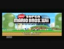 スーパーマリオWiiを1人で楽しくプレイ