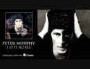 Peter Murphy - I Spit Roses [Audio]