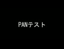 PANテスト