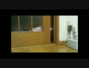 戸あけ猫