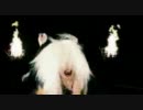 Cinemaglam「サディスティックラブ」