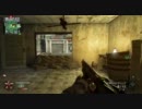 【CoD:BO】トップランカーに憧れて実況プレイ６【イサカでDOM】