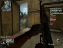 【PC】CoD:BO　人気の某FPSっぽく遊んでみた【FPS】