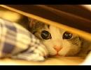 君のベクトル