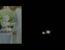 きれいな結婚スライドショー，ワンダーシェアー