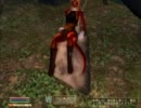 【実況プレイ】～桃色トカゲファーマシーoblivion～【Part5-1】