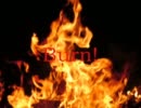 Papa Roach / Burn
