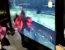 ゲーム画面に反応するねこ