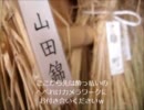 【ニコニコ酒豪部】西条酒まつり2010【レポート】