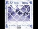 Aztec Tribe - Rolling' In My Ride【1996】