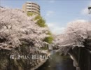 中山道を歩く Vol.01 起点・日本橋～