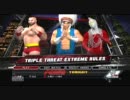 WWE2011 Smackdown vs.RAW　TRIPLE THREAT　EXTREAM RULES