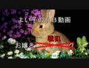 【弾薬箱】お嬢様とりむぺったん164【Ｄ５１Ｄ:ＳA戦】