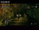 【竜骨】デモンズソウルRTA－その３－