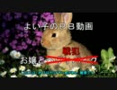 【弾薬箱】お嬢様とりむぺったん166【Ｄ５１Ｄ:ＳA戦】