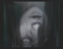 【実況】関西在住、女２人で　零～紅い蝶～　part6