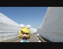 【おでかけリンちゃん】立山黒部アルペンルート 室堂【富山】