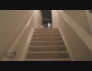 ジョジョ降り？する赤ちゃん【ヒューマン編】