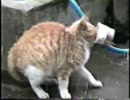ま…前が見えない！(笑)