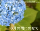6月の雨にのせて