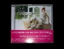 ■ワールドウェディングCMソング■ジュレ～誓う～
