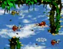 スーパードンキーコング2 アニマルランドの茨を蜘蛛でプレイ【再挑戦】