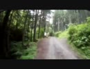 通行止だった林道　入沢線、熊倉・矢沢線、小坂志線　DR-Z400S