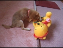 モコ動画・・・８