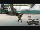 【ﾃｽﾄ】今更ながらモンハンP2Gを始めてみた６【ﾌﾗｸﾞ回収】