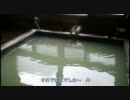毛無峠開山祭車載動画オフ in 長野 その2
