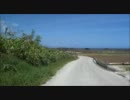 喜屋武　海の見えるサトウキビ畑を自転車で滑走