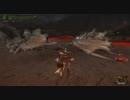 【MHF】逆襲！バサルモス 拡散弓