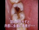現実は甘くない