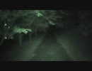 千葉県の【実況肝試し】　宮島池リベンジ （後編）
