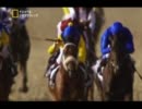 豪華絢爛！ドバイの巨大競馬場01