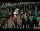 豪華絢爛！ドバイの巨大競馬場02